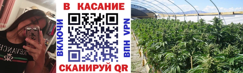 Наркотические вещества Елизаветинская ссылка на мегу tor A-PVP Гашиш Мефедрон Cocaine Бошки Шишки АМФЕТАМИН