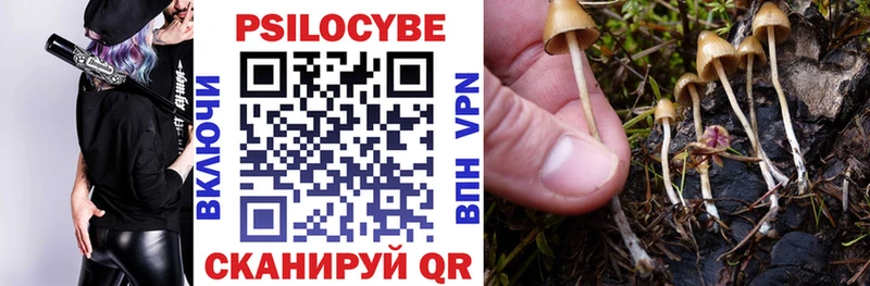 Псилоцибиновые грибы GOLDEN TEACHER  Елизаветинская 